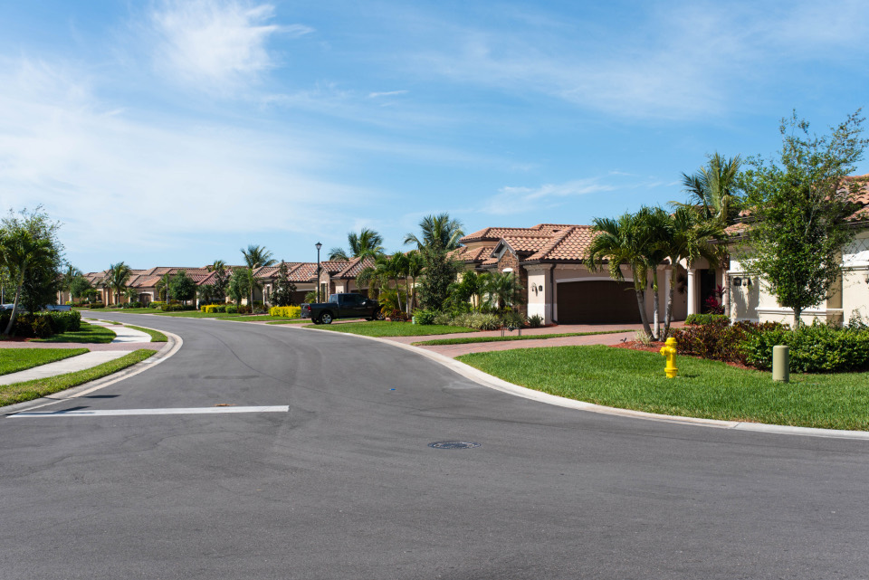 Curving residential street lined with palms and single-family homes